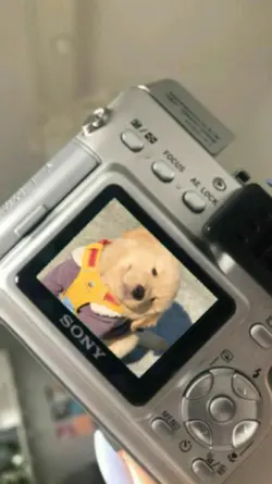 my pet