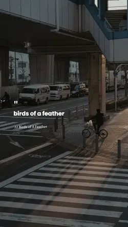 Birds of A feather