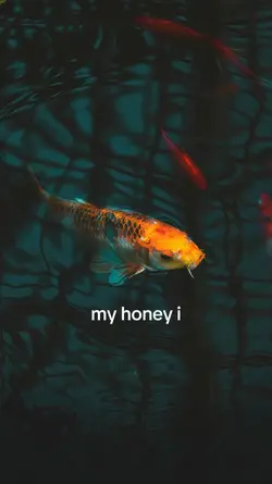 My honey i know