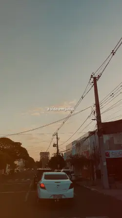 A vida em julho