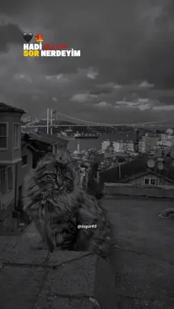 Hadi gülüm 🍁