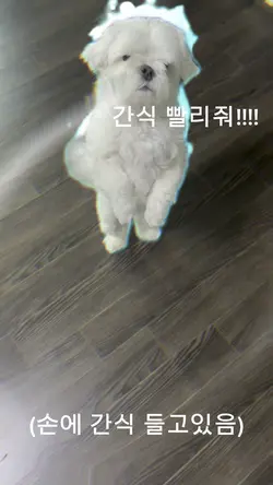 간식 농락