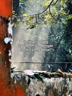 Quotes