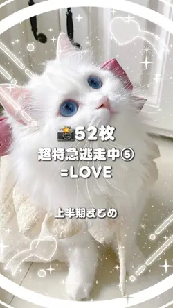 🎵超特急逃走中⑤