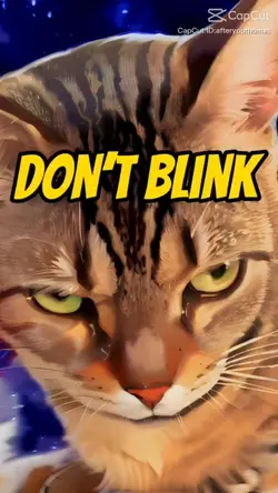 Donut Blink
