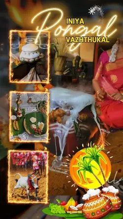 ✨Happy🪔Pongal✨