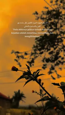 Islamic quotes