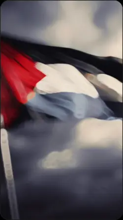 *Palestine 