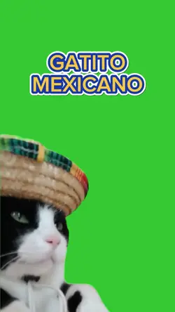 GATITO MEXICANO 