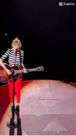 taylor clips