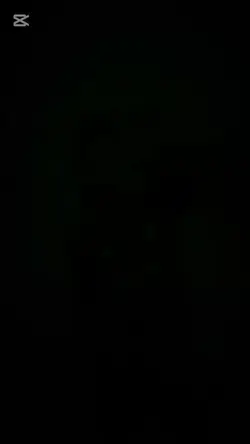 flashing template ck