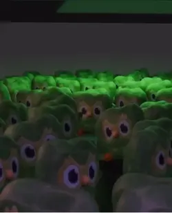 Duolingo edit
