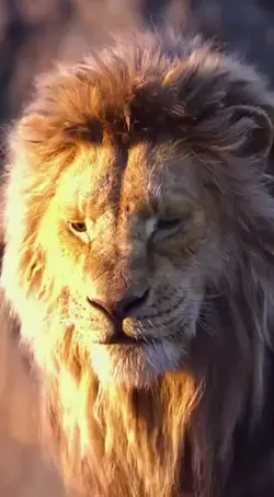Lion roar