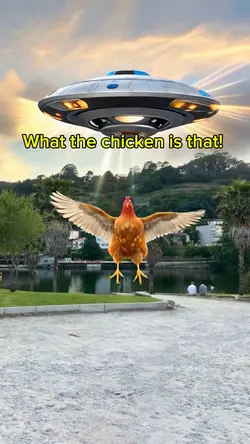 Chicken UFO