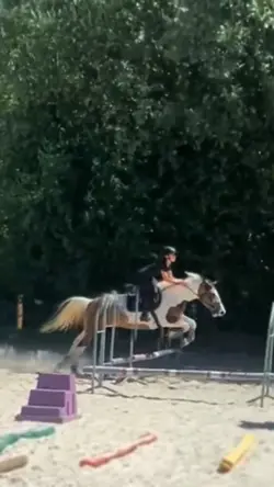 ralentit fluide
