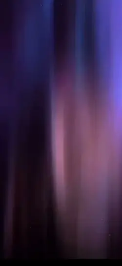 Opsiyonel 