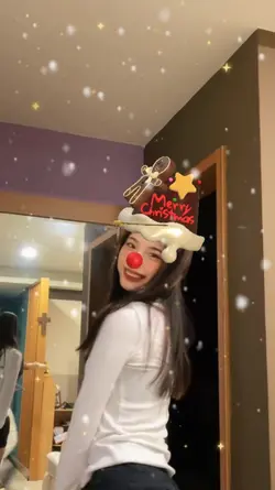 face filter 