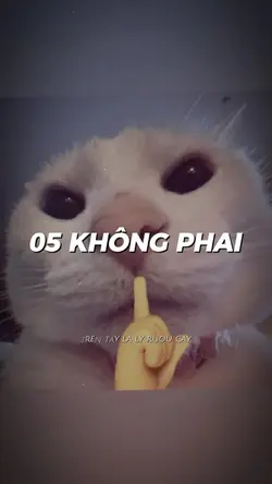 05 Không Phai