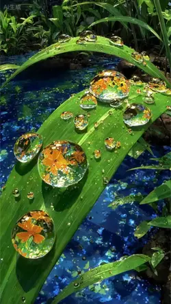 3D Wallpaper
