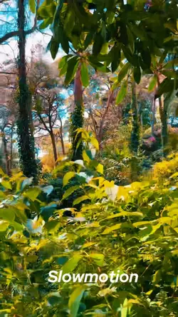 Nature slow