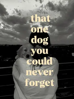 Memories with dog