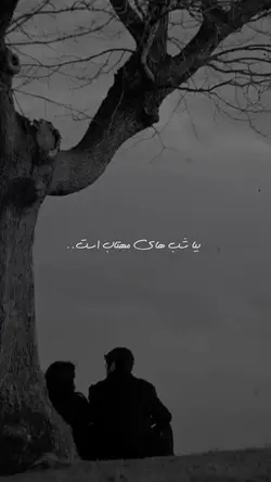 بیا شب های مهتاب 🤍🦋
