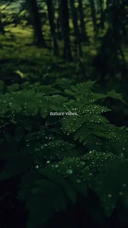 nature vibes.