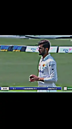 shaheen shah afridi 