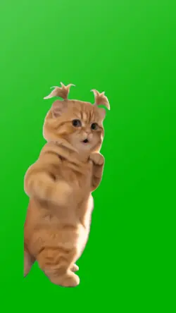 KUNG FU CAT 2