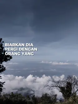 biarkan dia pergi