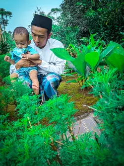 ibu