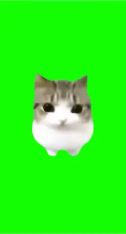 Miiiiiiiii