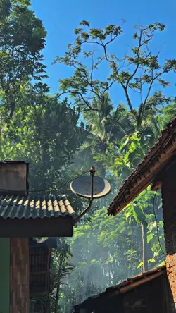 1VID SOUND THAI STYL