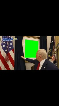 Trump Show Curtains