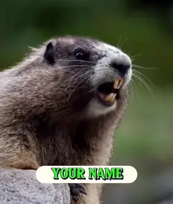 TEMPLATE TUPAI 