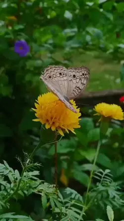 alhamdulillah 