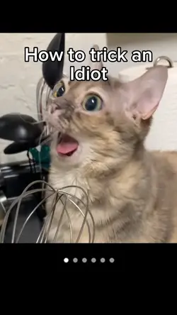 How to trick an idot