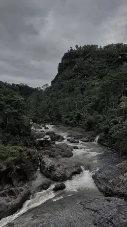 korban janji