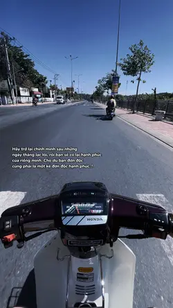 Video màu+Cap