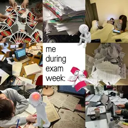 me during exam week