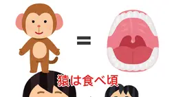 猿は食べ頃