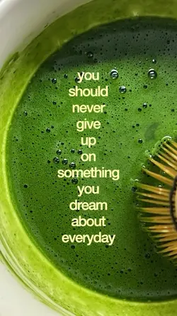 Never give up