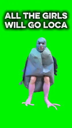 LOCA PIGEON 