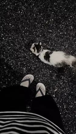 tidak kah letih 