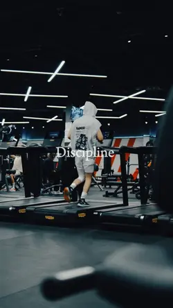 discipline 