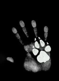 Human's best friend