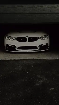 Bmw Fan