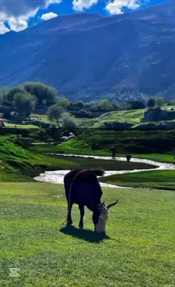 Allah ki Raza pa Raz