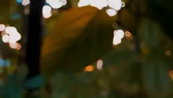 Video 16:9 Landscape