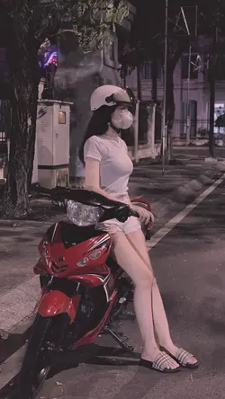 Trình Chiếu